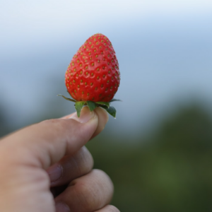 Strawberry TV Samsung