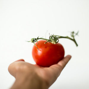 Tomato Cleaner Mixer