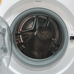 Washer Cushion Carrot