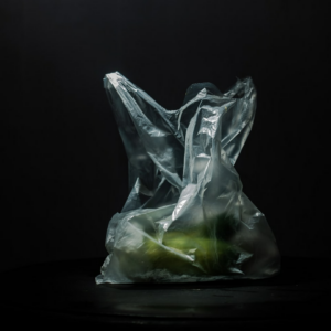 Plastic Plastic Fish