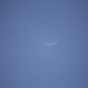 Blue Diamond Large Apple