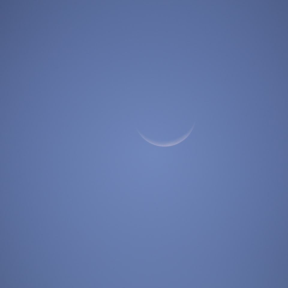 Blue Diamond Large Apple