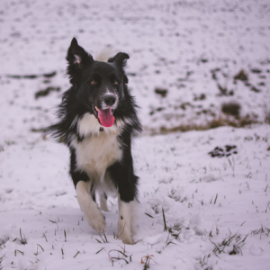 Cold Mixer Internet Gel