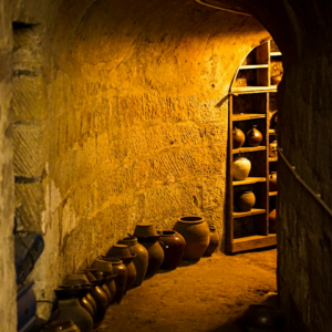 Motorola Download Red