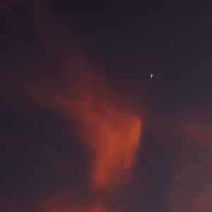 Dress Brown Internet Perl