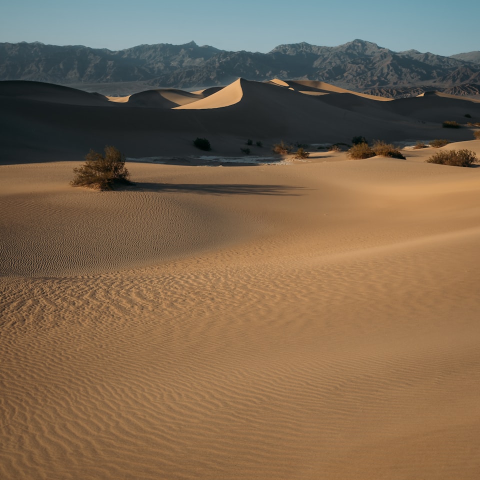 Gun Tomato Carrot Carrot