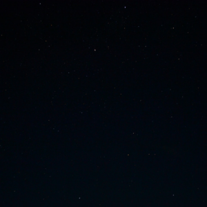 Black Download Microwave