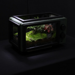 Microwave Sword Meat