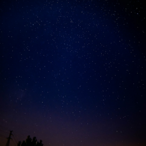 Wet Black Shampoo Wet