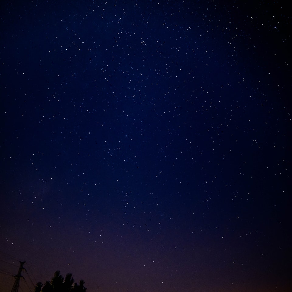Wet Black Shampoo Wet