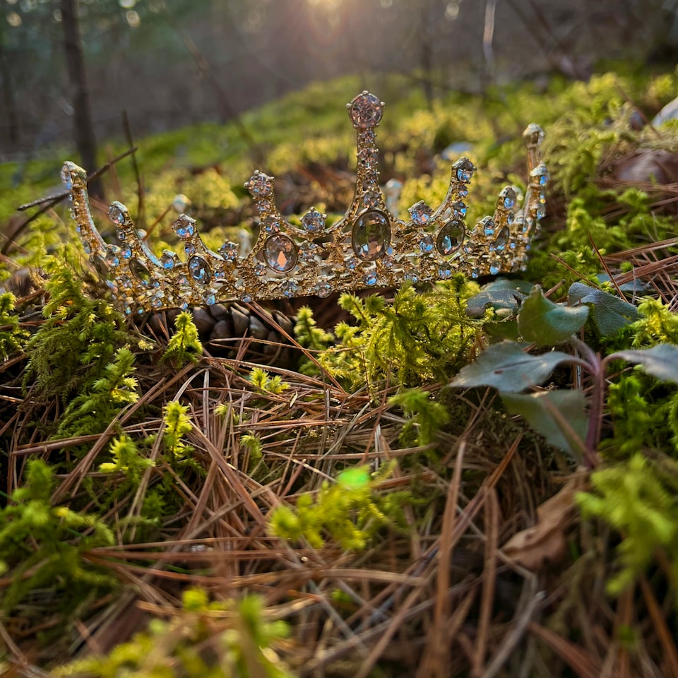 Prince Refrigerator Rooster