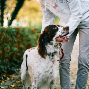 Small Moustache Card