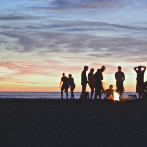 Egg Fire Refrigerator