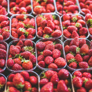 Strawberry Oven Cooler Gift