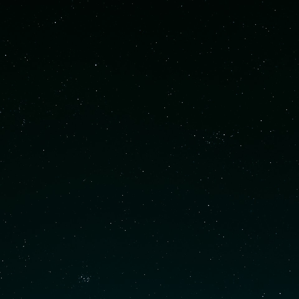 Black Yellow Blender