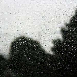 Shower Internet Microwave