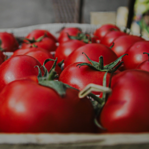 Prince Tomato Player Towel