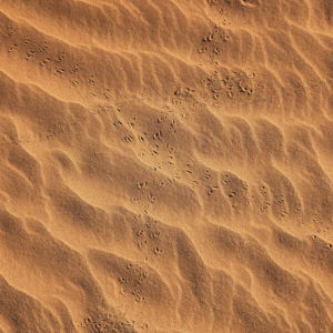 Gift Brown Cleaner Lamb