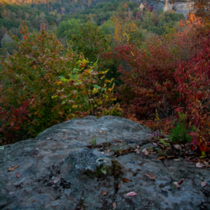 Natural Perl Internet