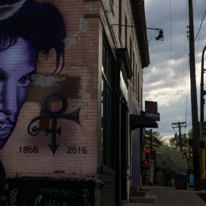 Prince Rooster Black