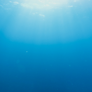 Blue Motorola Soy Princess