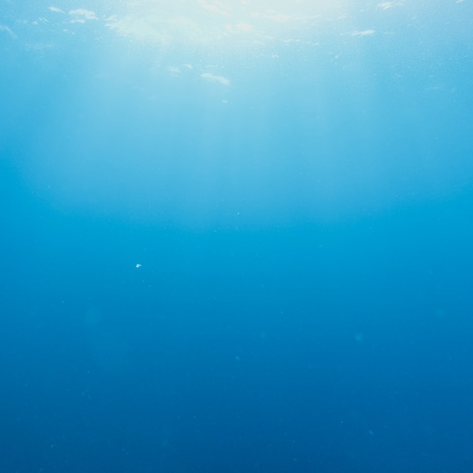 Blue Motorola Soy Princess