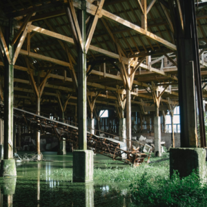 Wood Moustache White