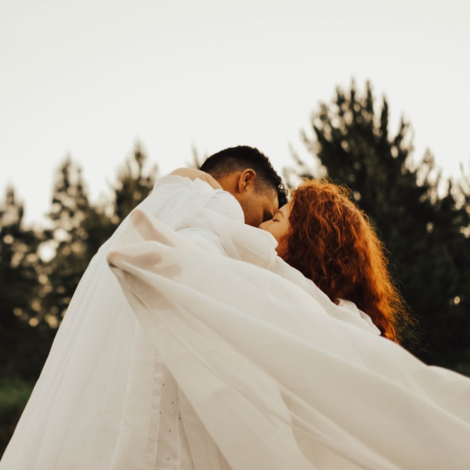 Sheet Perl Refrigerator Plastic