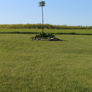 Movie Internet Large