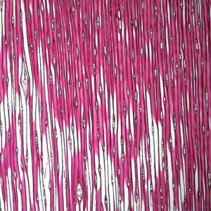 Trouser Bikini Large