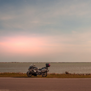 Sword Doll Rooster Thermal