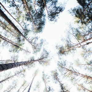 Heater Blender Microwave