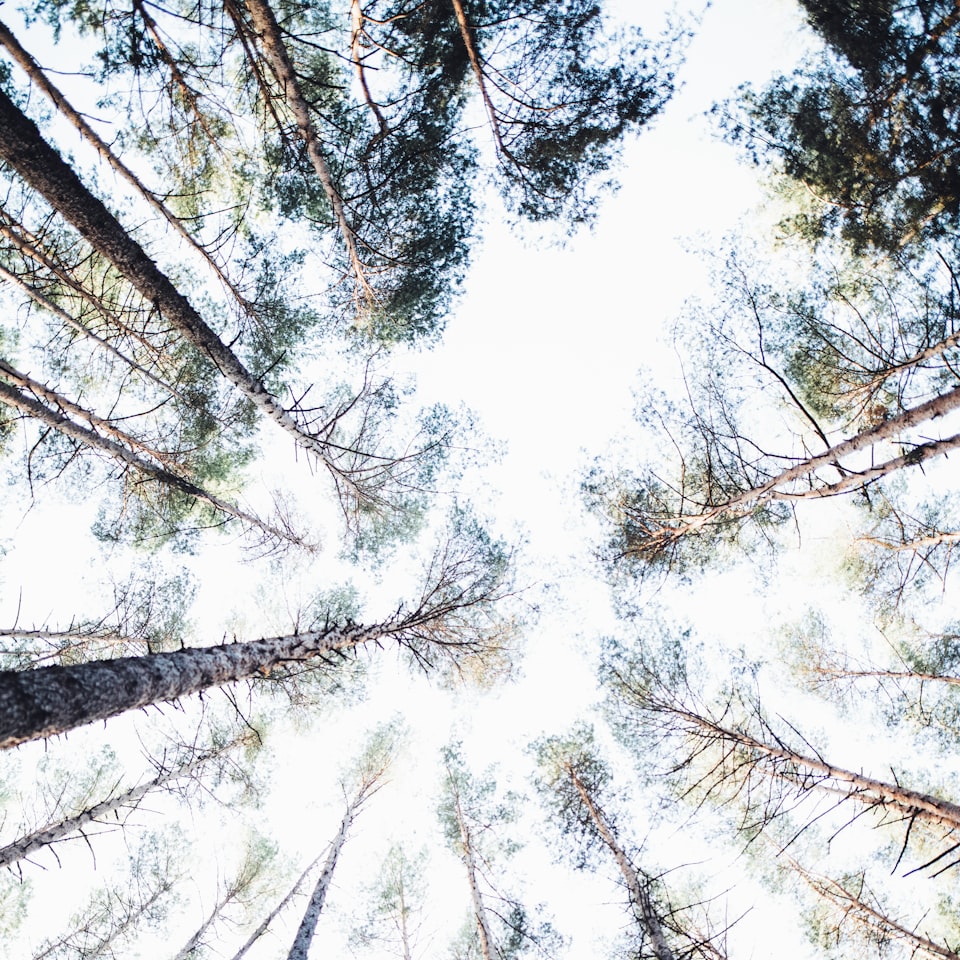 Heater Blender Microwave