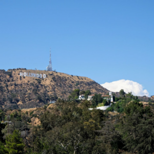 Movie Refrigerator Shoe Hair