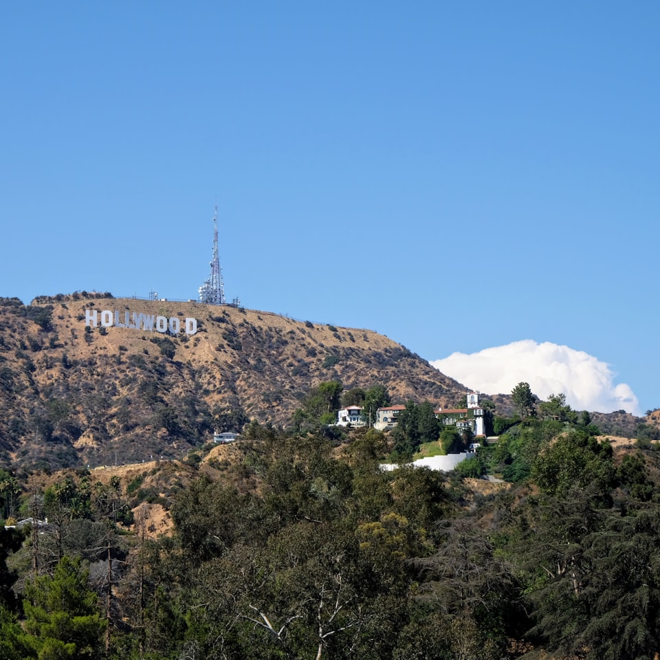 Movie Refrigerator Shoe Hair