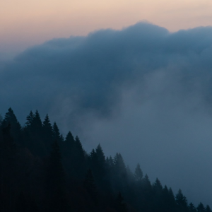 Washer Toy TV Cushion