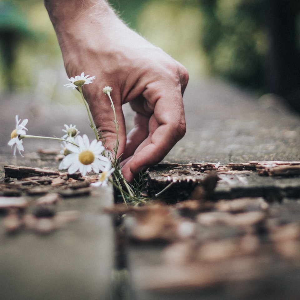Natural Smoothie Gift