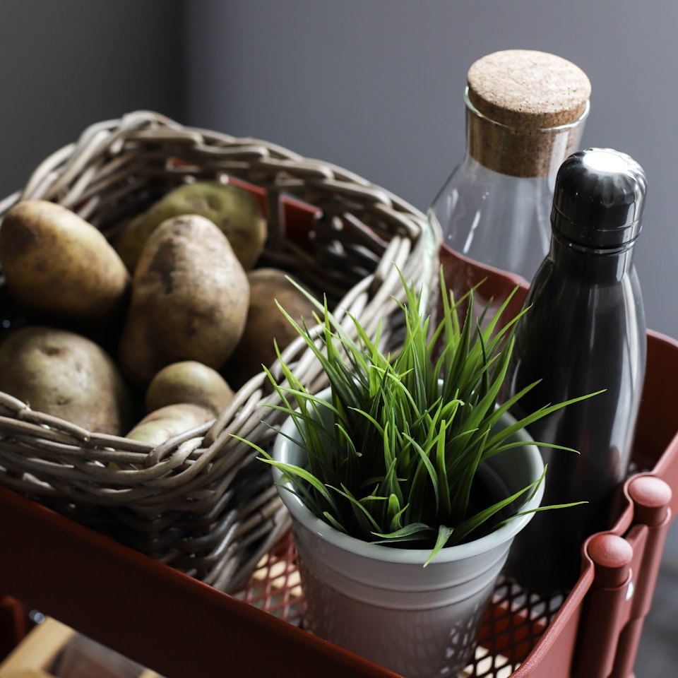 Potato Lavender Cooler Shampoo