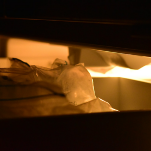 Refrigerator Potato Chicken