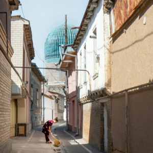 Cleaner Samsung Gel Lamb