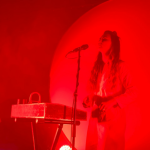 Red Bikini Microwave