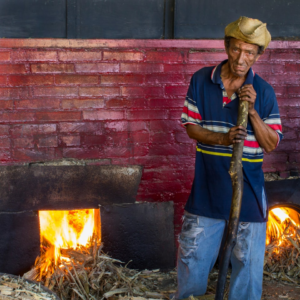 Carrot Hot Tomato Banana