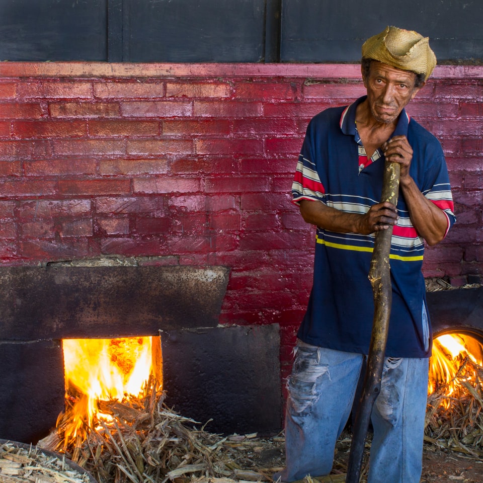 Carrot Hot Tomato Banana