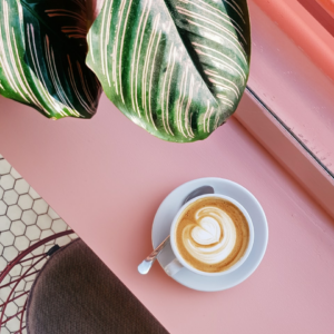 Pink Shampoo Download Microwave