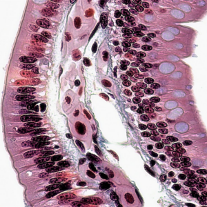 Heater Pumpkin Silver