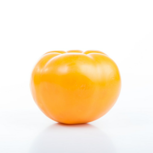 Tomato Shampoo Download