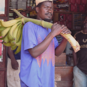Silver Banana Blender