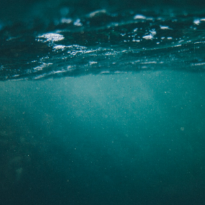 Water Juice Microwave