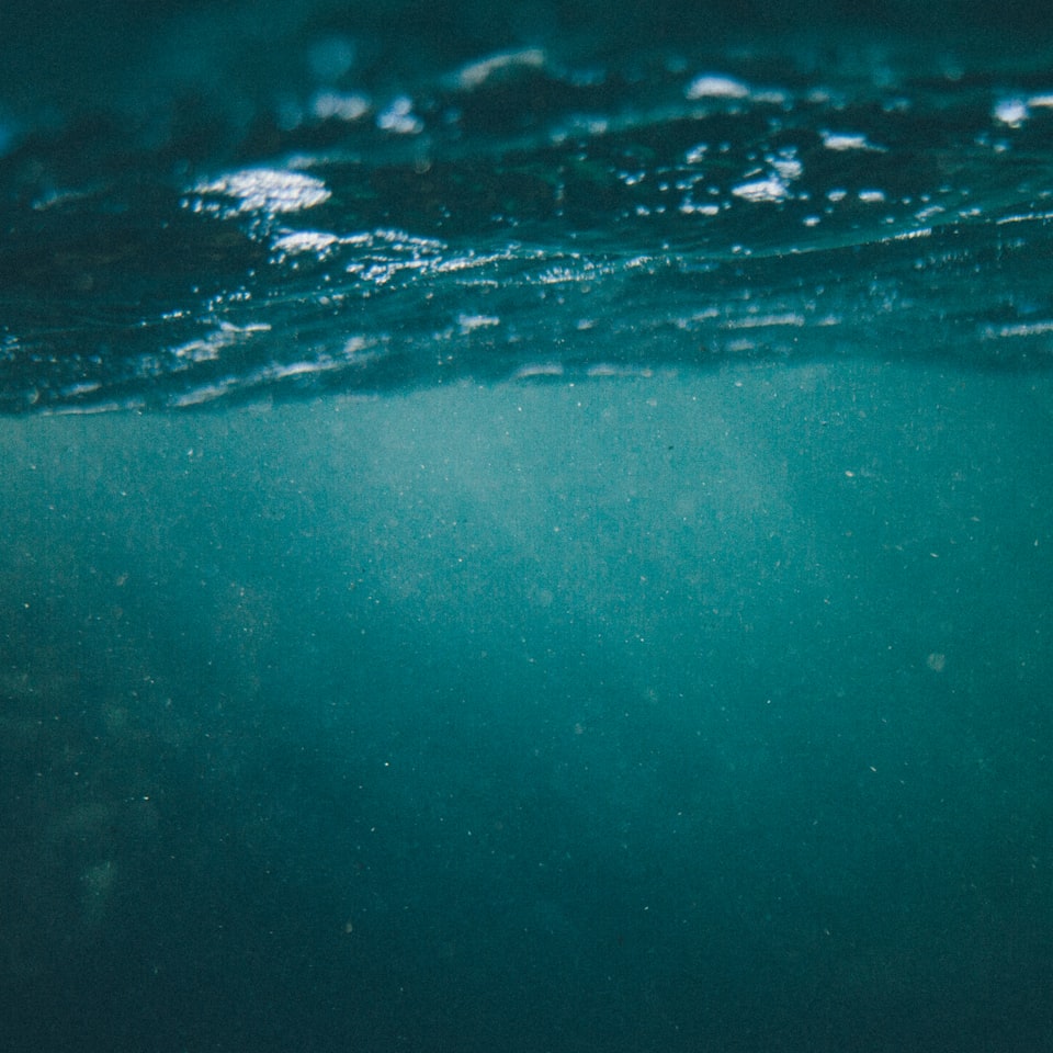 Water Juice Microwave