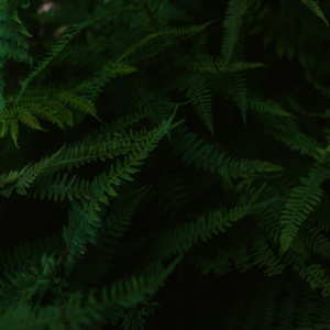 Dress Black Refrigerator